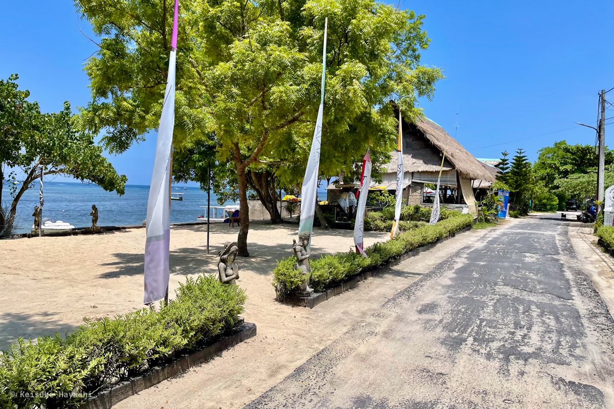 車の荷台から撮った景色