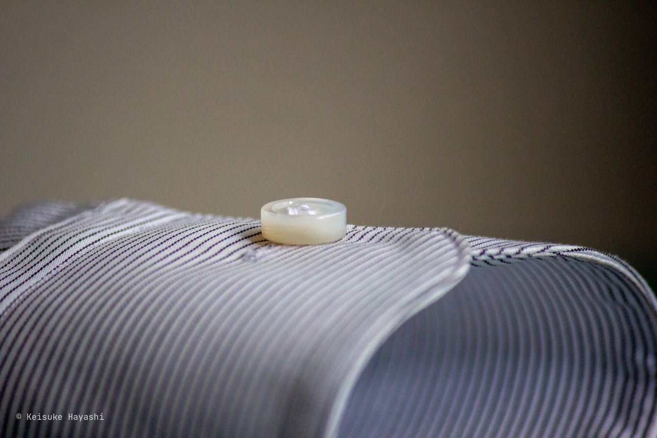 白蝶貝のボタンの断面